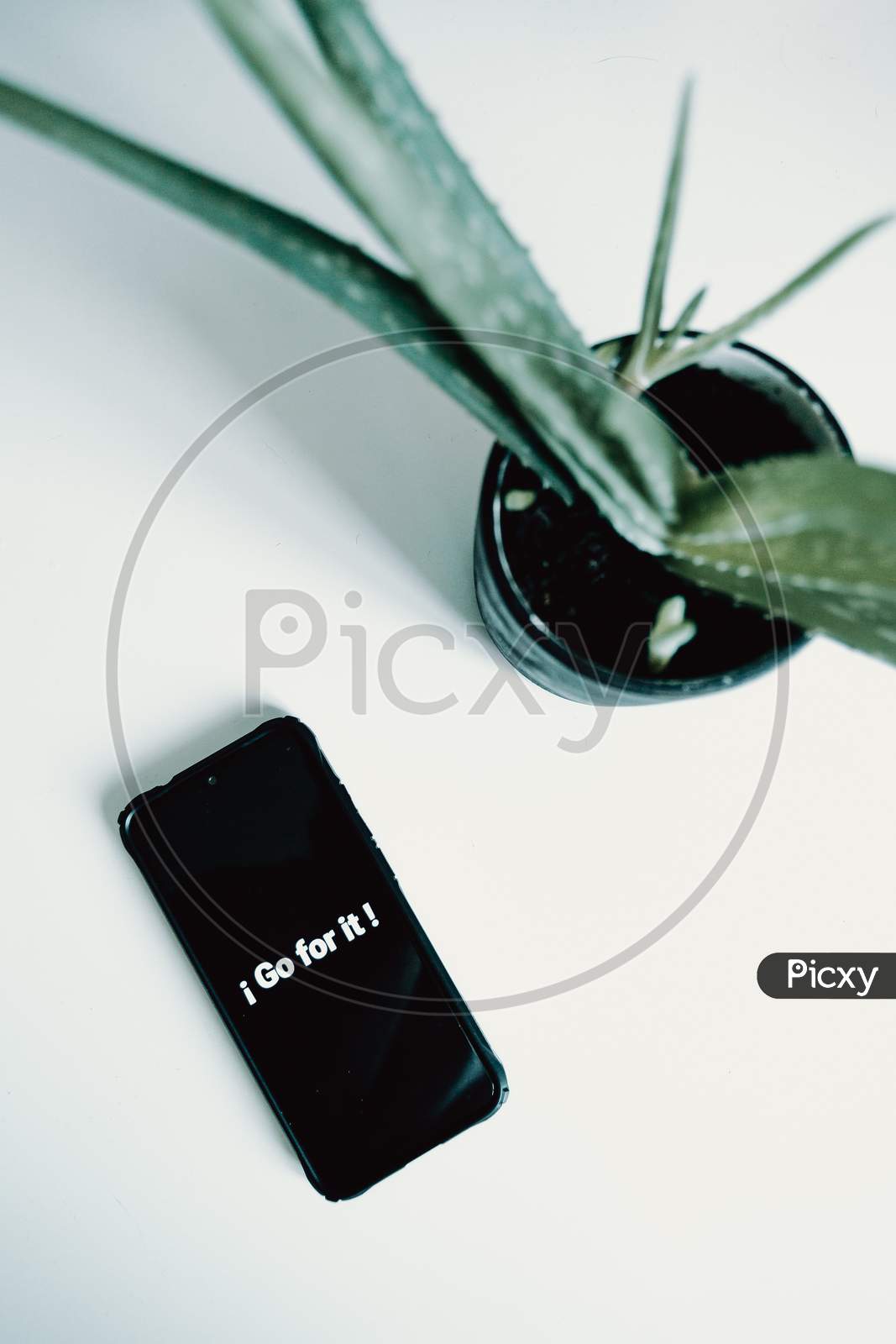 Flat Lay Of A Black Phone Over A White Background And A Plant With A Inspirational Phrase Written In It