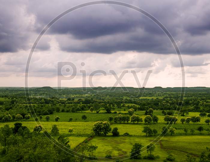 landscape of trees and sky
