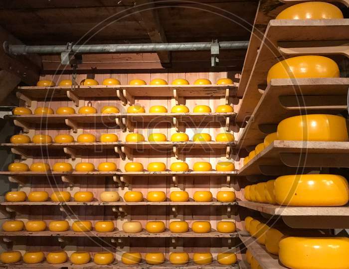 Dozens of yellow round Dutch cheeses for sale, presented on wooden shelves in a store .Zaanse Schans ,Neatherland.