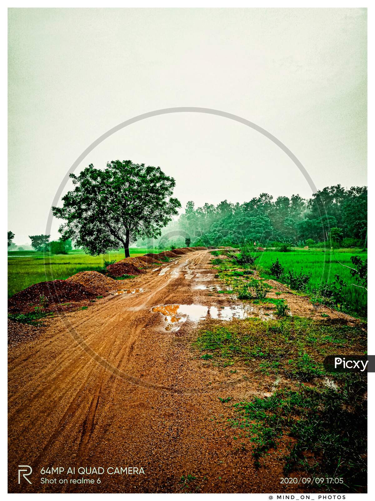 Village road of Odisha