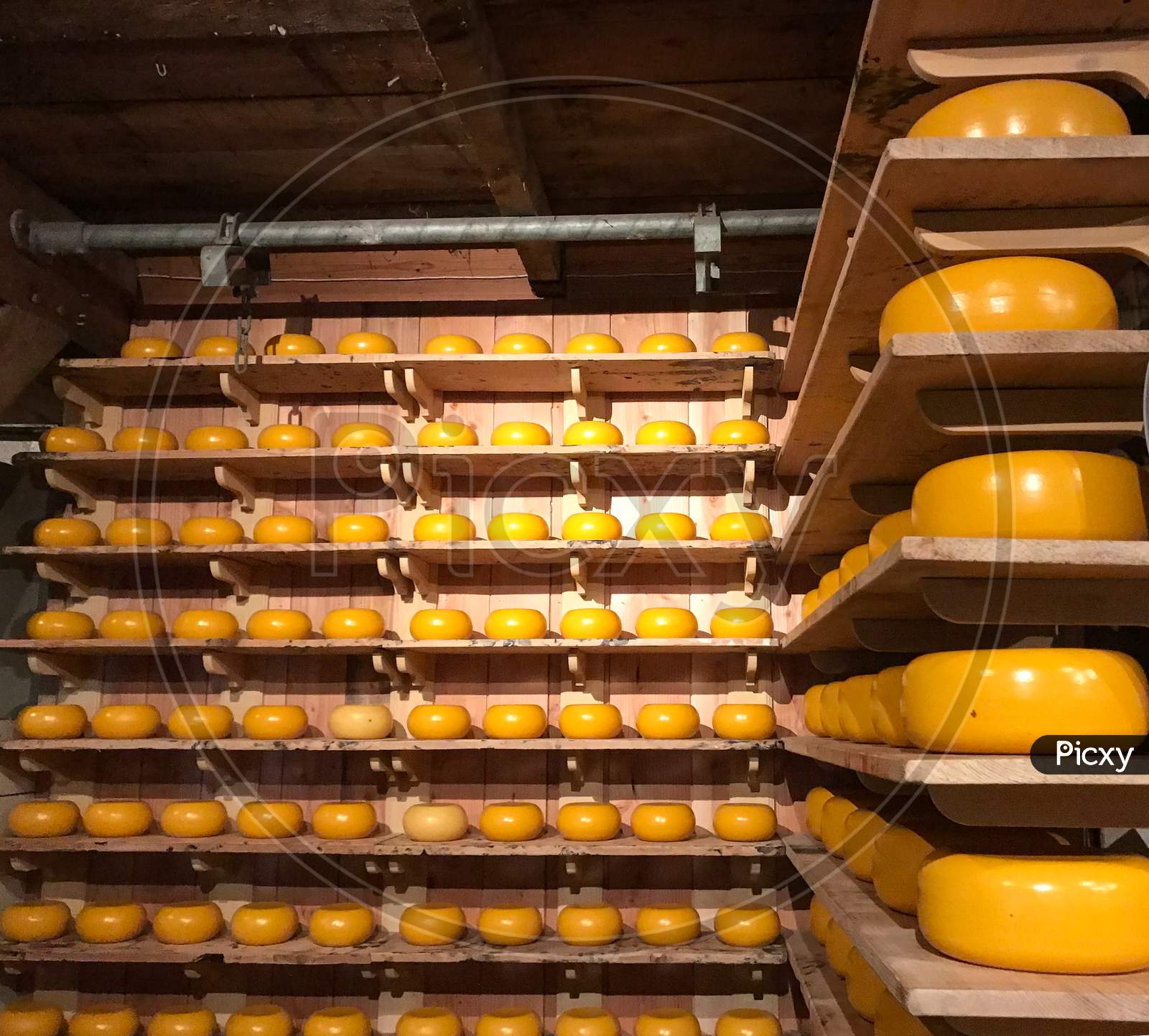 Dozens of yellow round Dutch cheeses for sale, presented on wooden shelves in a store .Zaanse Schans ,Neatherland.