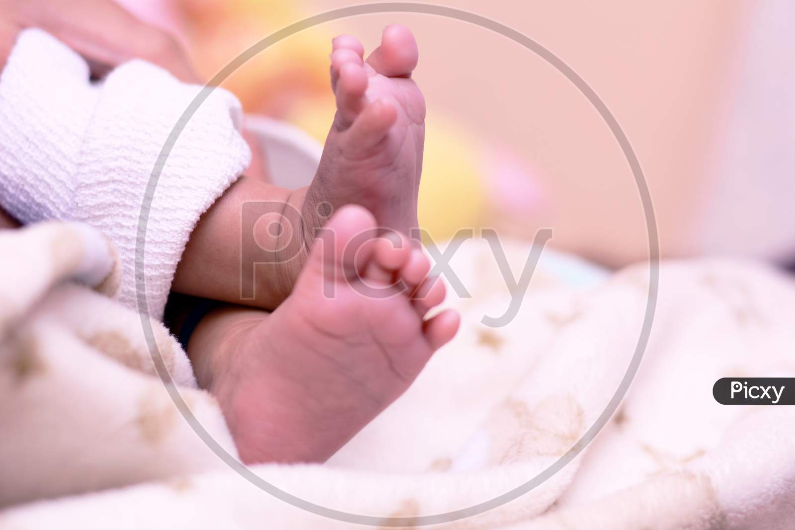 Tiny Feet of A New Born