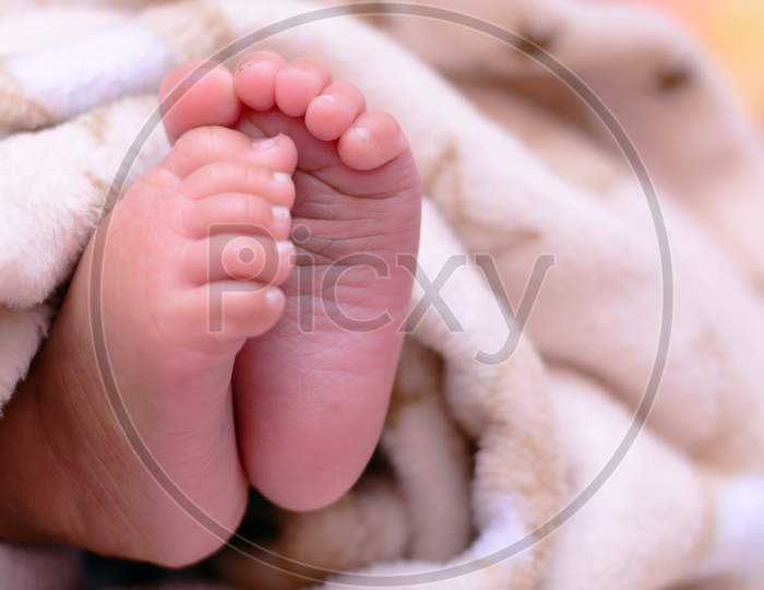 Tiny Feet Of New Born