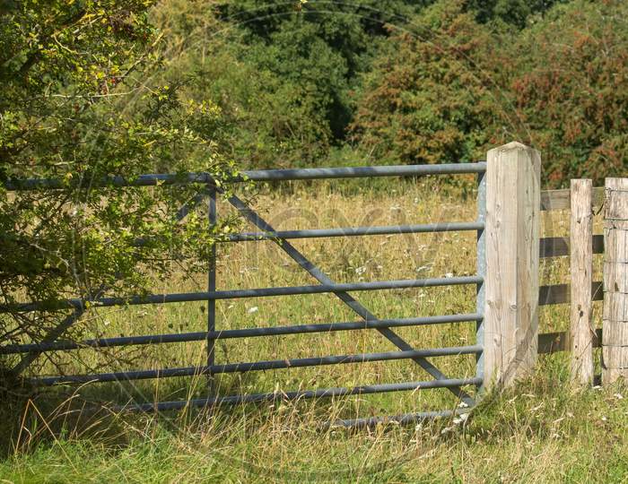 Closed Metal 7 Bar Gate Across Meadow With Long Grass And Summer Flowers