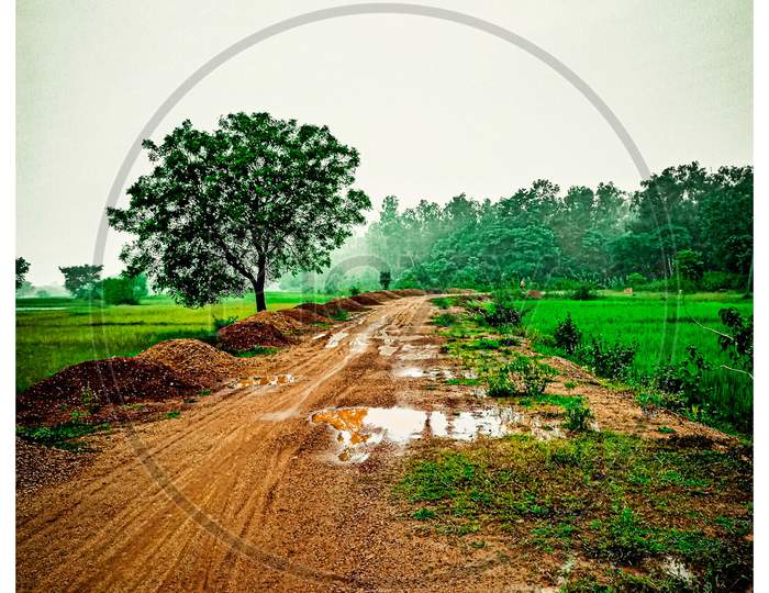 Village road of Odisha