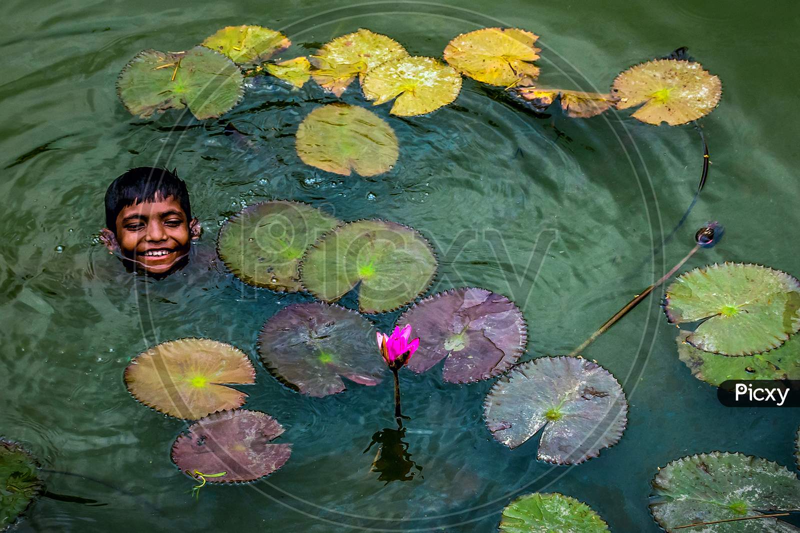 Smiling Boy With Water Lily