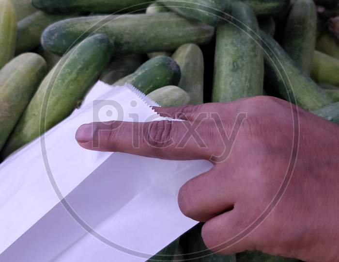 close up of cucumber shopping in the maker