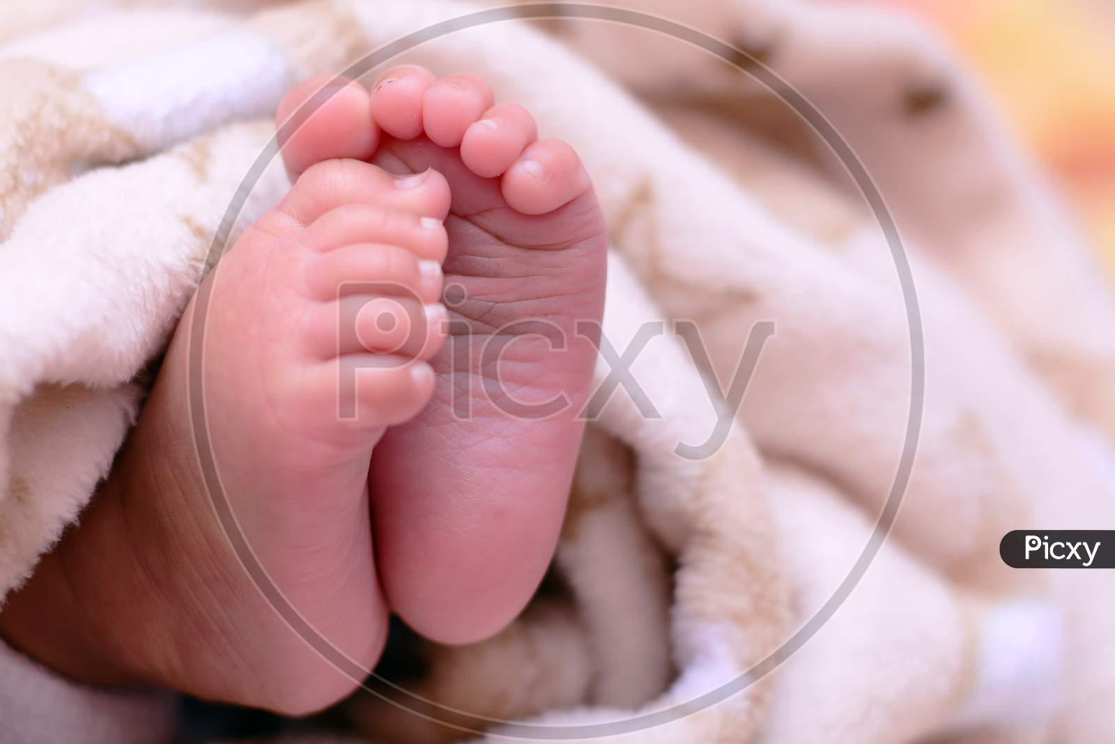 Tiny Feet Of New Born