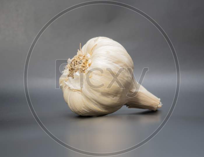 Piece of garlic ingredient in clear background