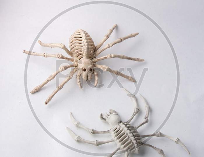 2 Scary Spider Skeletons Halloween Decorations Isolated On White