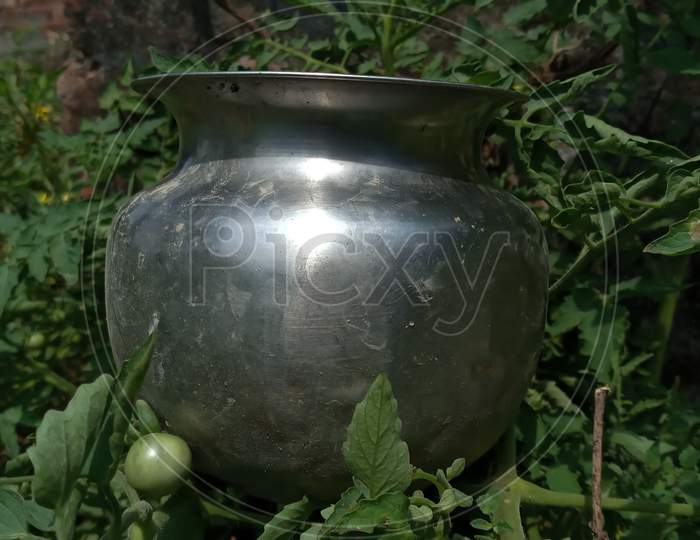 There is a steel Lota in the green tomato field.