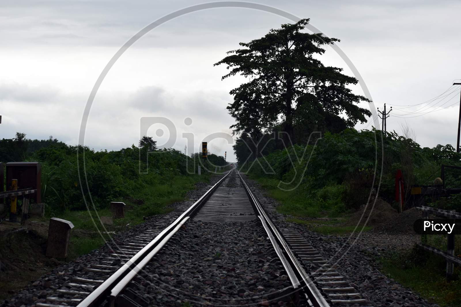 Rail Way Track And Background View
