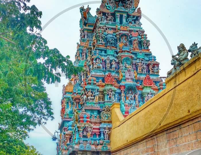 Madurai, meenakshi temple, tree
