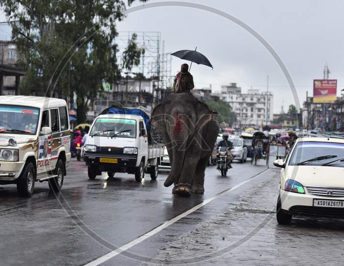 An elephant and its keeper move through rains on a street in Nagaon District of Assam on September 14, 2020