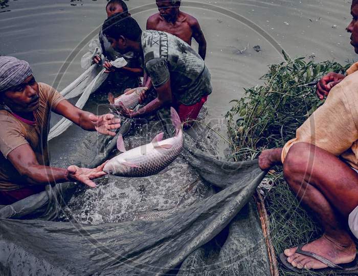 Fishing, fisherman, fish, fishing net, photography