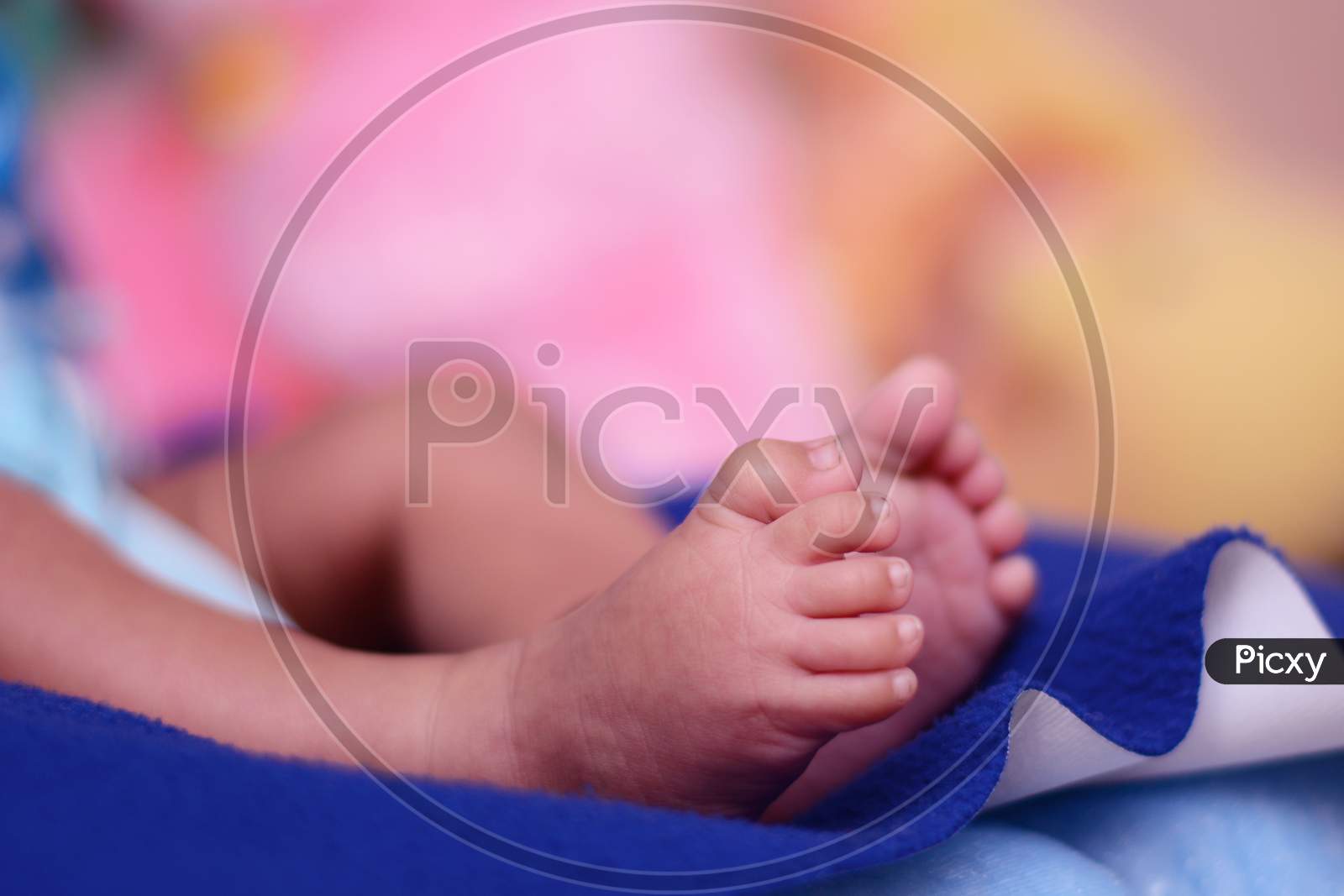 Tiny Feet Of New Born Wrapped In Blanket