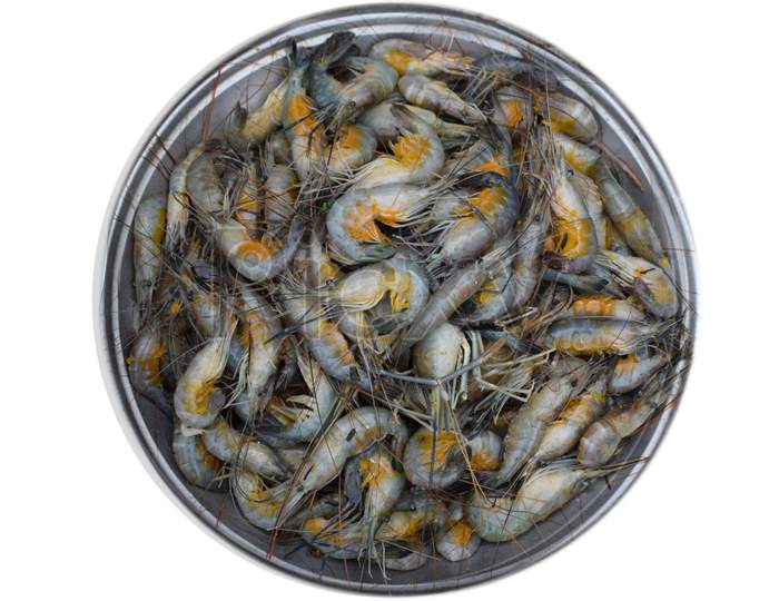 Traditional Prawn River Fish With White Background