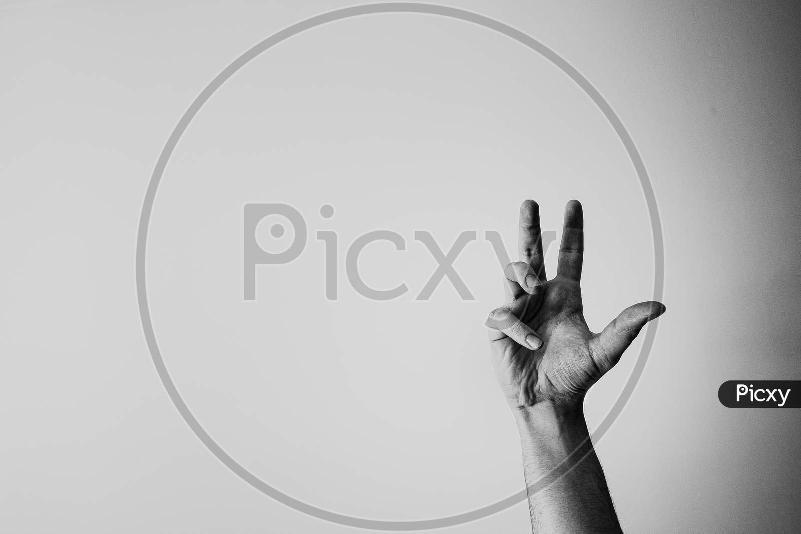 Black And White Hand Raised In Front Of A White Background With Copy Space