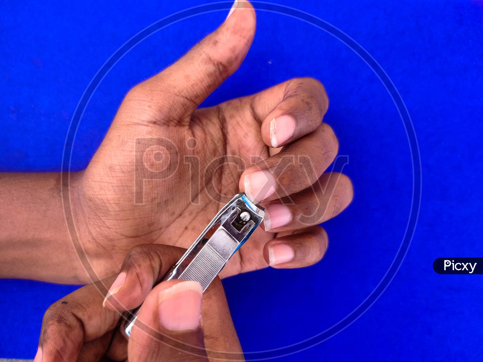 Close Up Of Man Cutting His Left Hand Finger Nails. Isolated On Blue Background.
