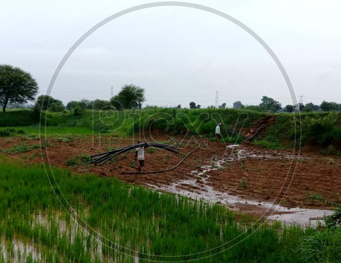 Indian Agriculture Work On Field.