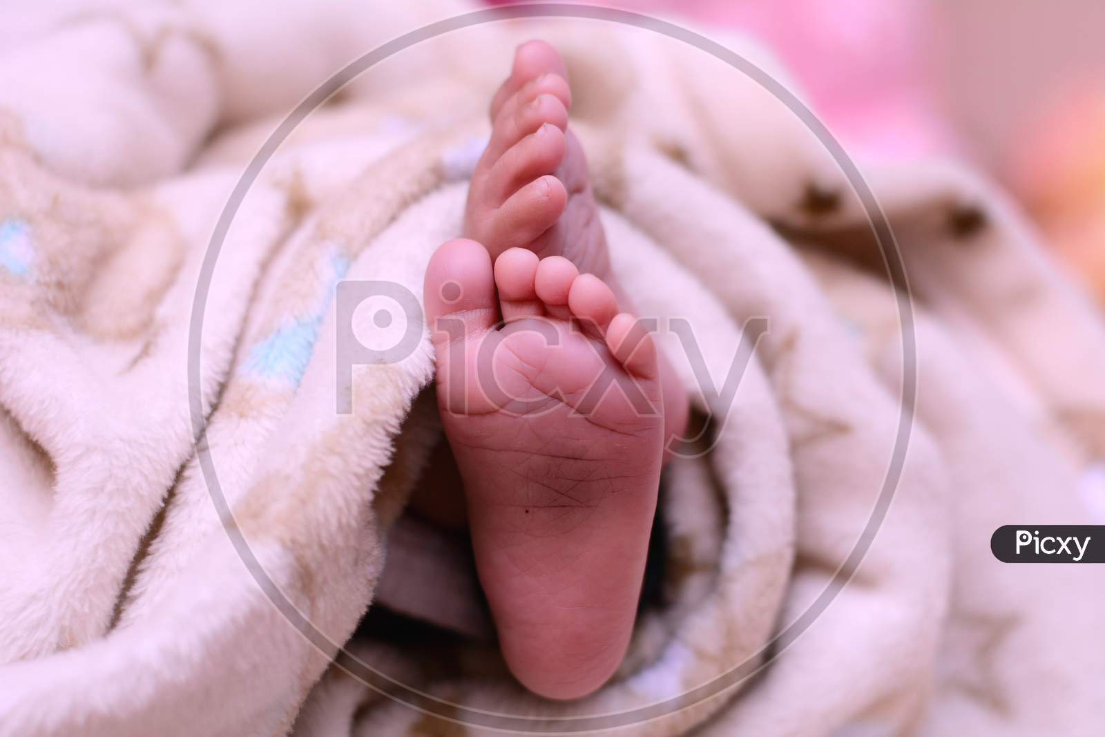Tiny Feet Of A New Born