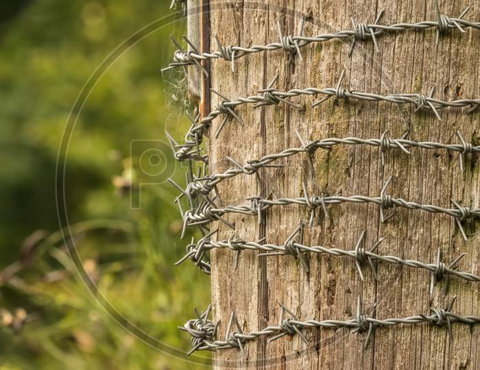 Barbed Wire Wrapped Around Rural Wooden Post In Countryside. Concept Of Protection And Security.