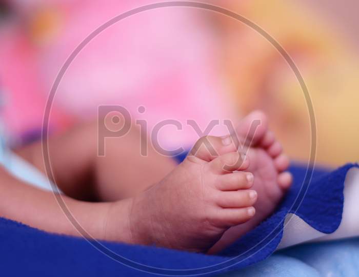 Tiny Feet Of New Born Wrapped In Blanket
