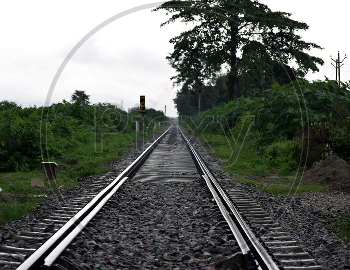 Picture Of Railway Track And Trees