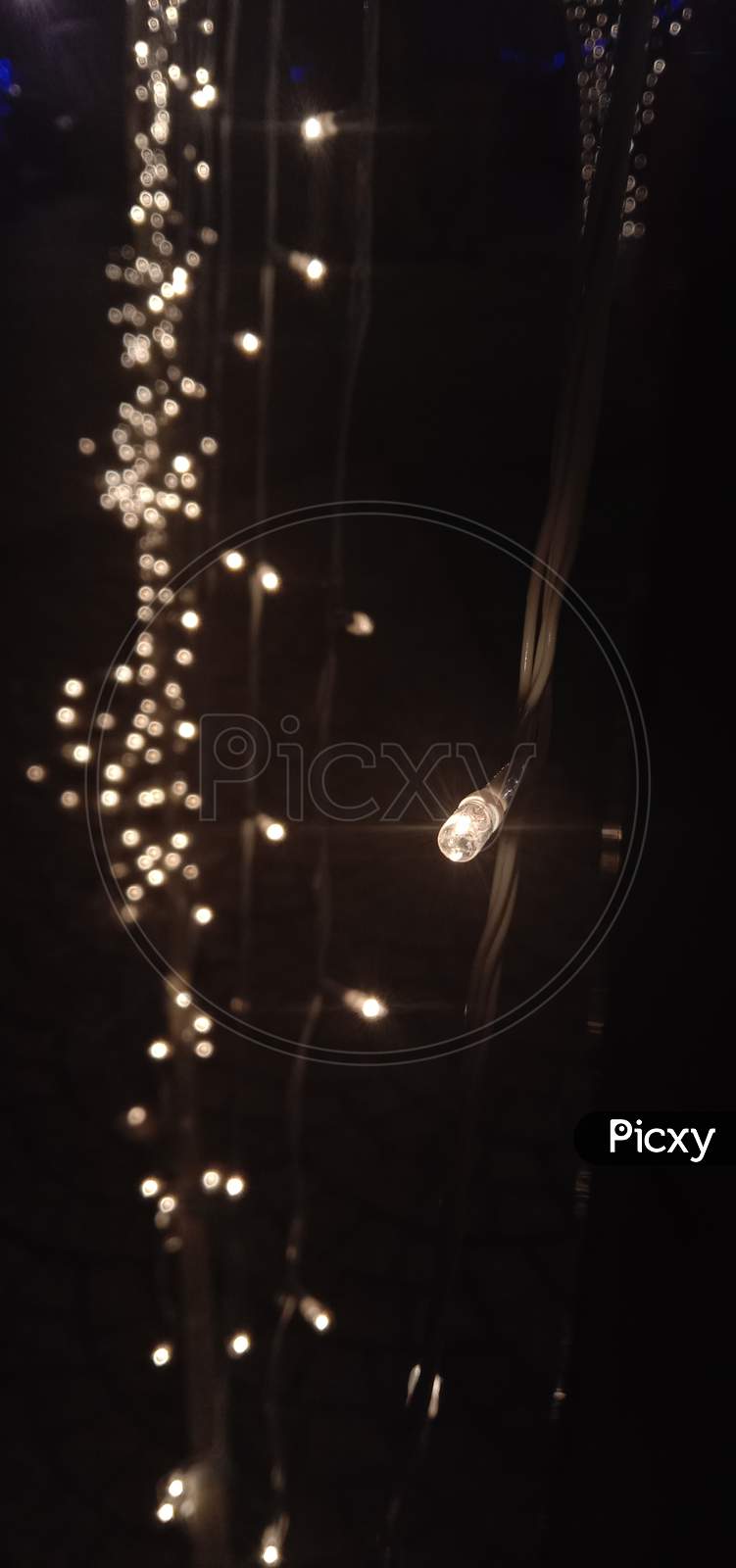 LED decorative serial bulbs glowing at night