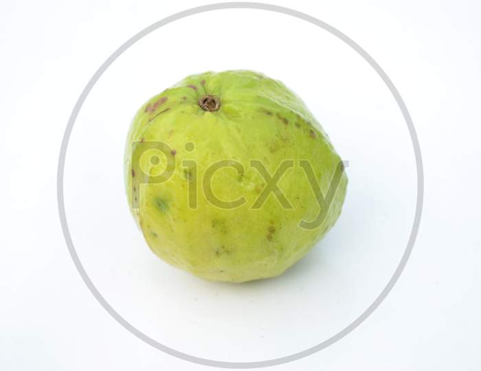 The Ripe Green White Guava Fruit Isolated On White Background.
