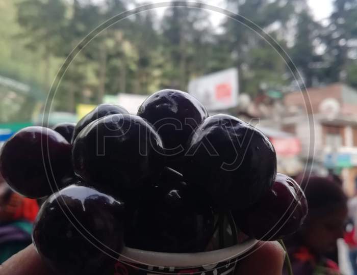 Black Cherry portrait, Fruit, Mountain