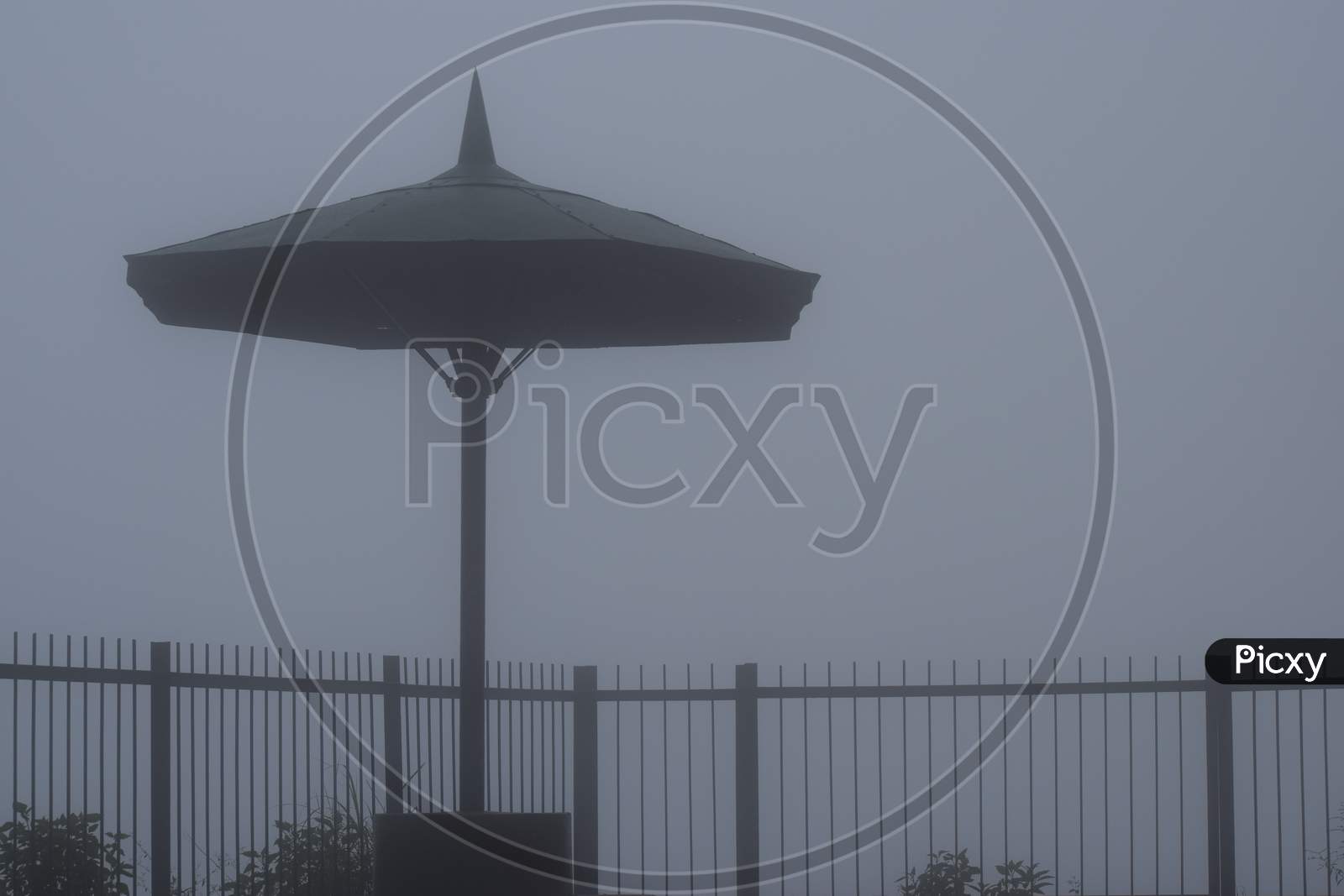 Beautiful Picture Of Umbrella Covered With Fog