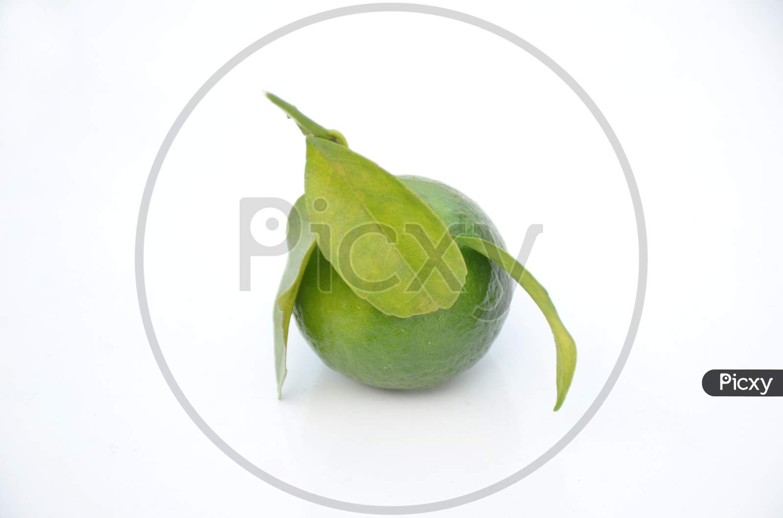 The Ripe Green Orange Fruit With Leaves Isolated On White Background.