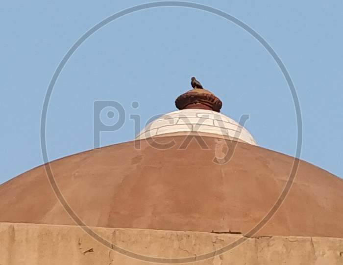 A bird sitting on a historic dome stupa