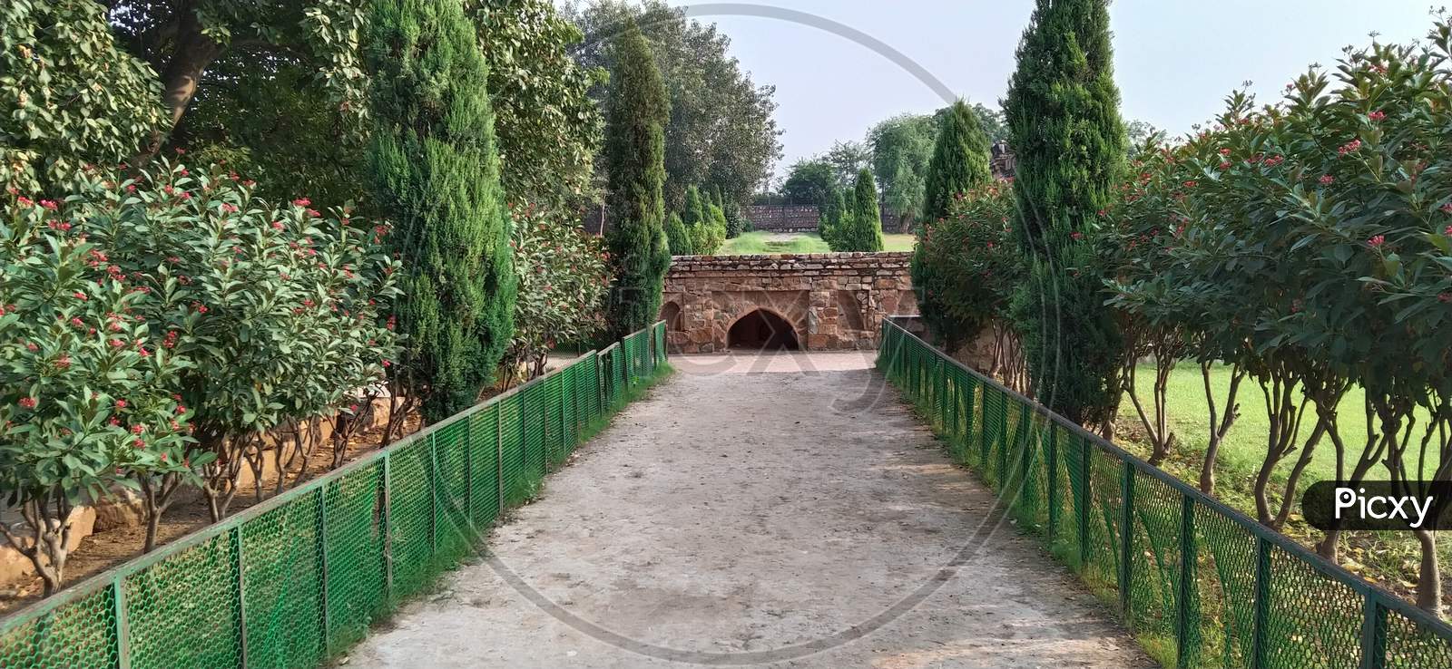 Straight walk path through fare shrub to bridge shaped historical rock arch