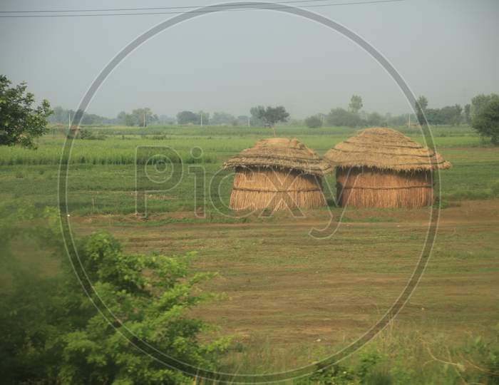Green Farmland With Hut