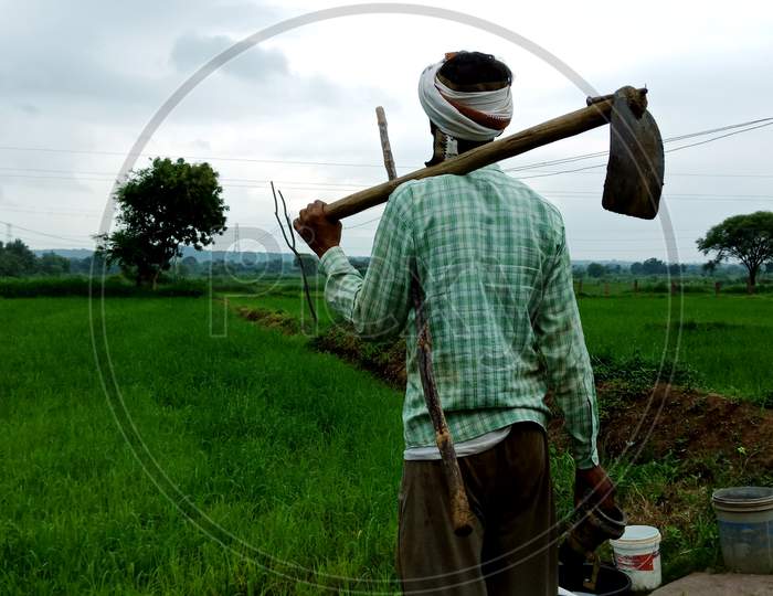 Indian Agriculture Work On Field.