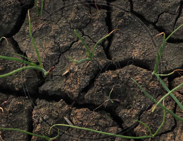 Soil With Crack Stock Photo