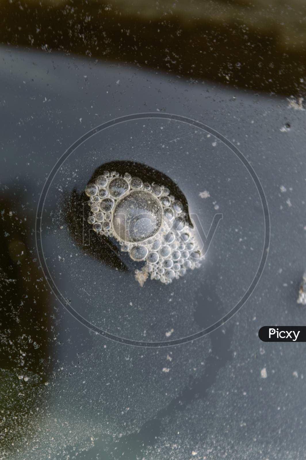 Droplet Of Dirty Water On Pond.