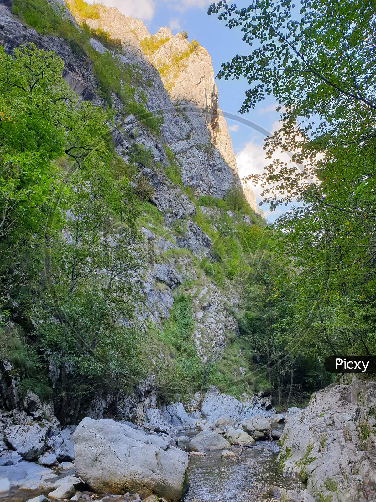 Cheile Rametului Canyon River Alba, Transylvania