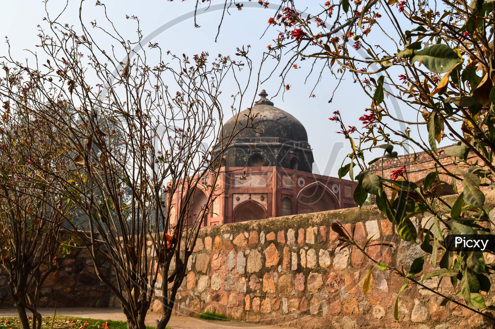 A Tree Branch Create Some Dramatic View Of Monument At Humayun Tomb Memorial From The Side Of The Lawn At Winter Foggy Morning.