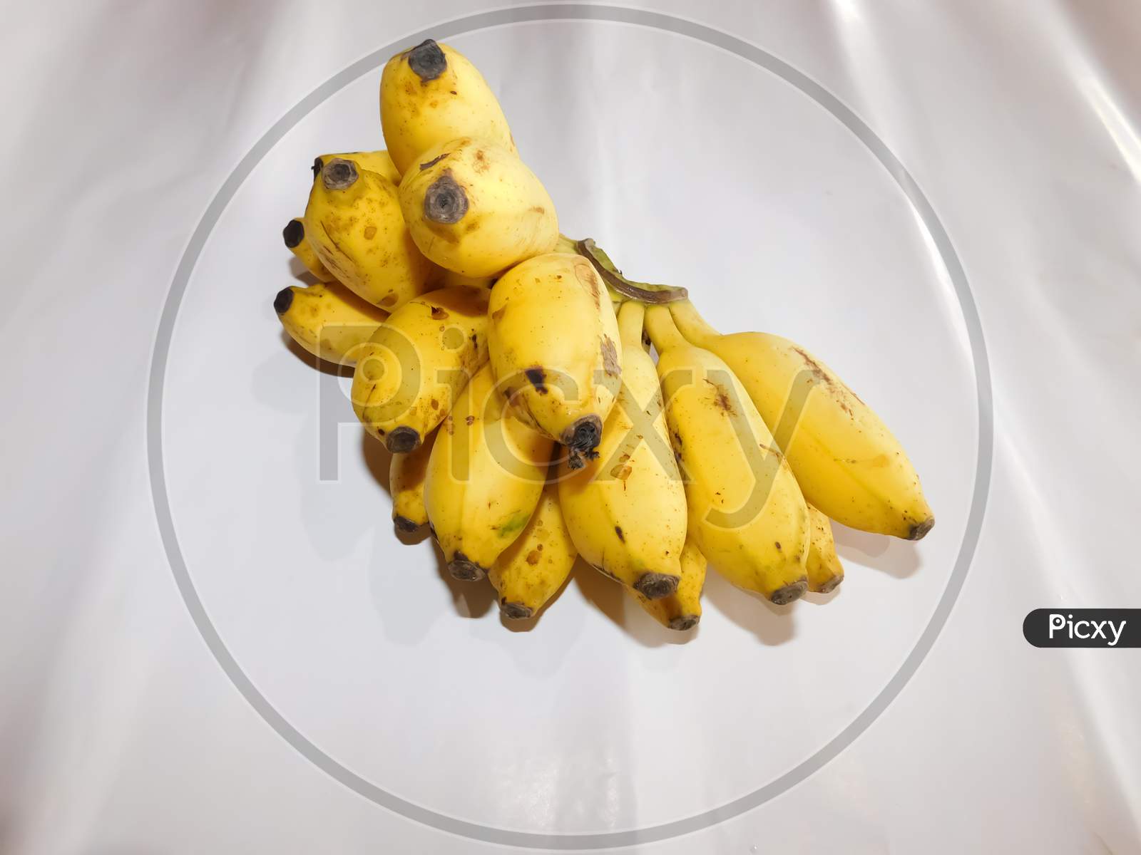 A Bunch Of Bananas Isolated On A White Surface