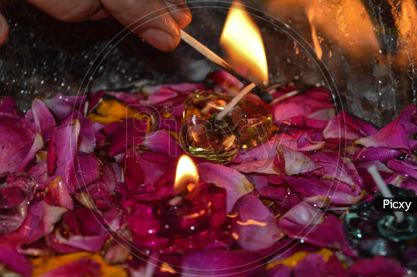 A Indian Lady Lit Up Jar Is Which Is Loaded With Rose And Candle On Indian Festival Diwali Deepawali With Fire Isolated On Table