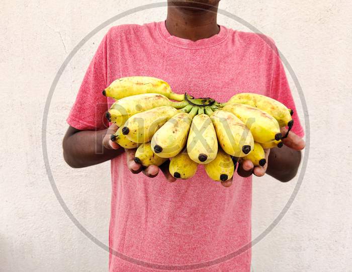Red Tshirt South Indian Man Holding A Cluster Of Bananas. Festival Concept