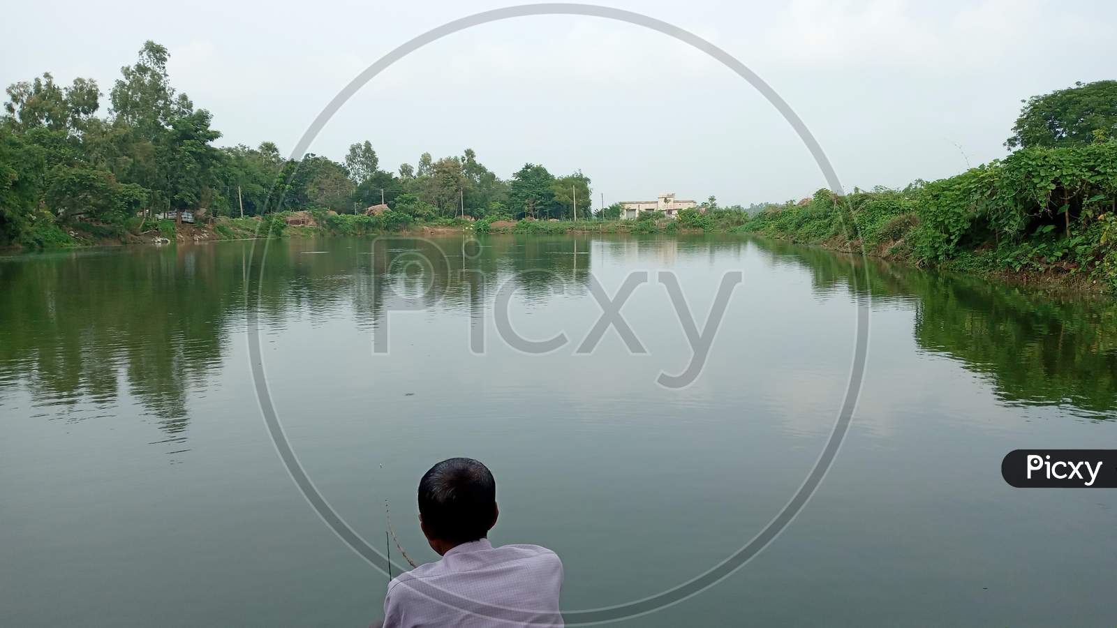 Catch Fish In Pond, Nature Of Pond