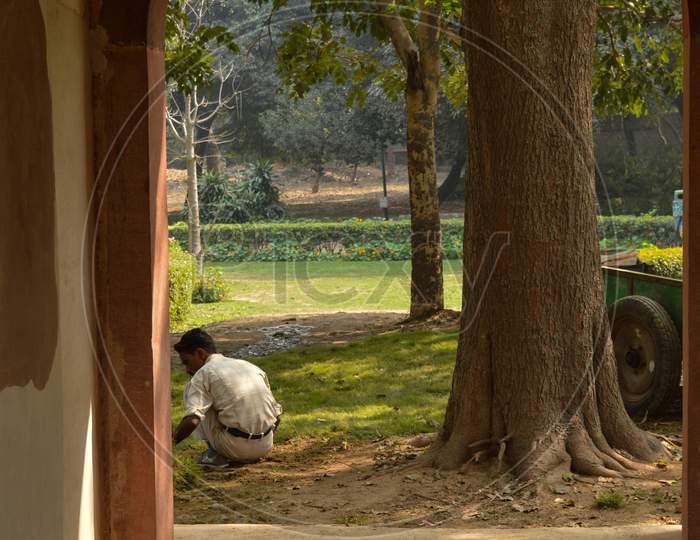 A Man Doing His Gardner Work With Flowers At Lodi Garden Or Lodhi Gardens In A City Park From The Side Of The Lawn At Winter Foggy Morning.