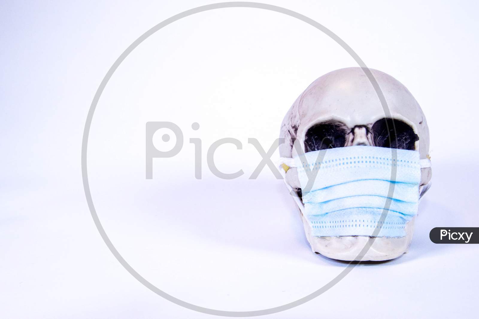 Skull Wearing Mask