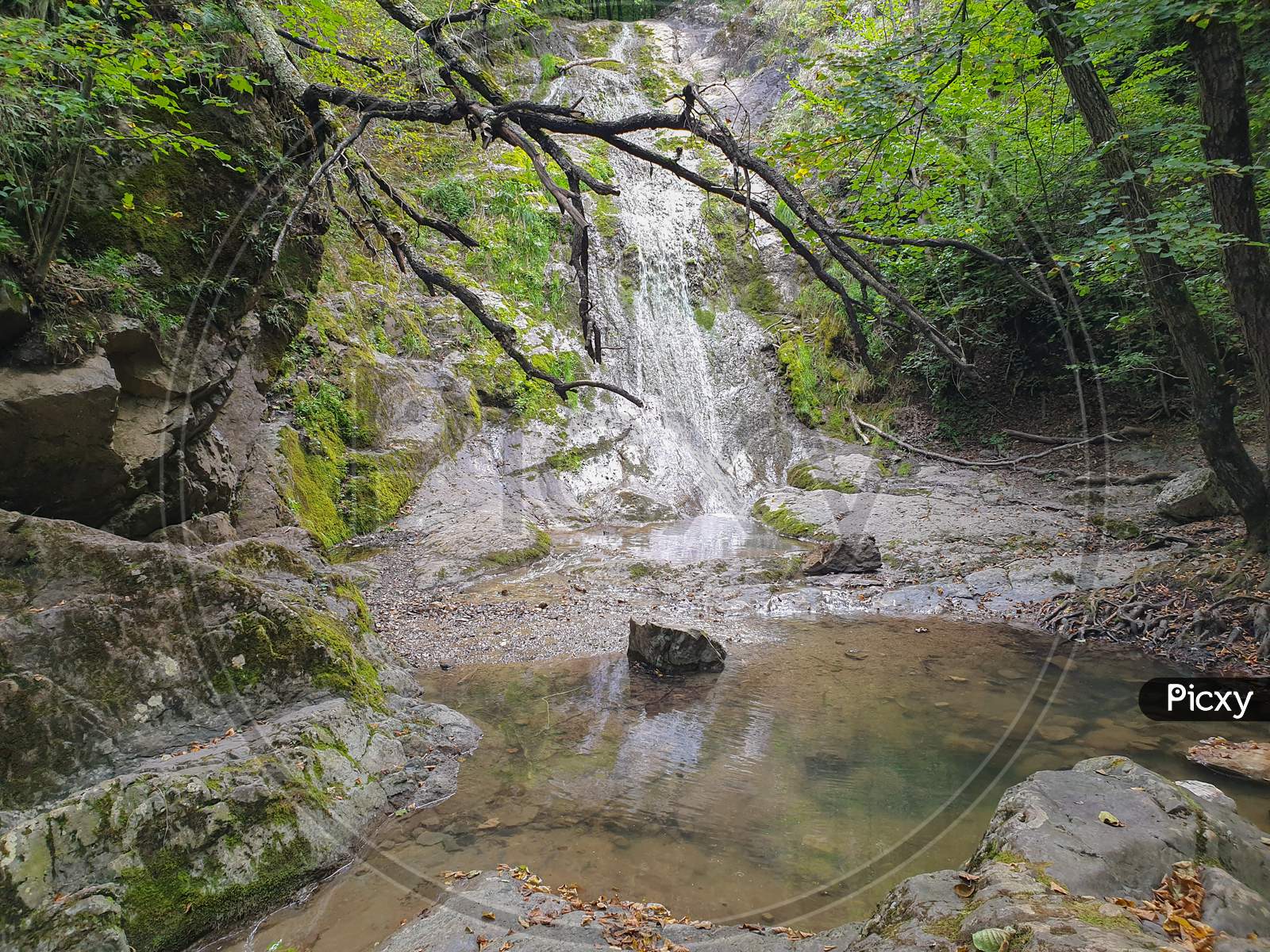Cheile Borzesti Gorges Waterfall In Transylvania