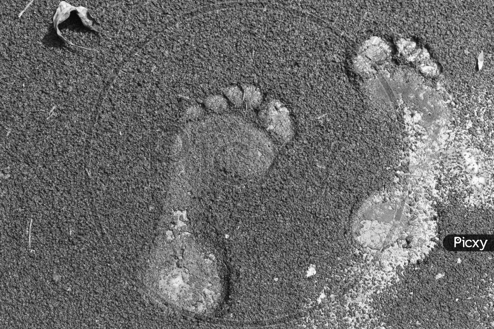 A beautiful Black and white foot print
