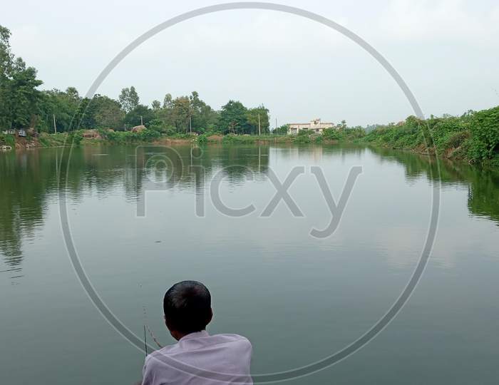 Catch Fish In Pond, Nature Of Pond